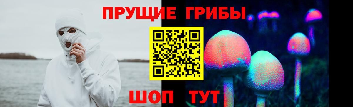 Псилоцибиновые грибы Cubensis Назарово